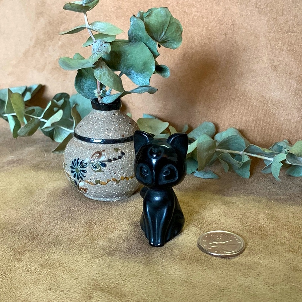 Obsidian Sailor Moon Luna Cat